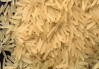product_img1